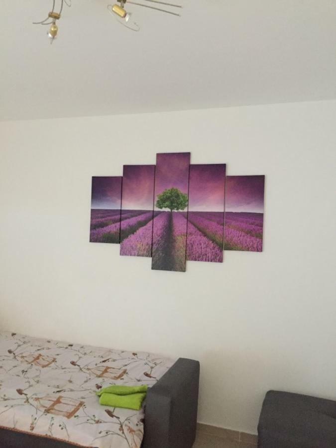 Apartment Brno Pola Esterno foto